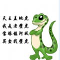 壁虎灰机歼20 app v9.9.9