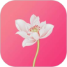 如义社区平台APP v1.0.1