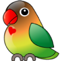 金鹰金鹰APP v5.0.24