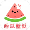 西瓜壁纸助手app v1.0.0
