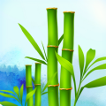 风情竹APP v2.4.2