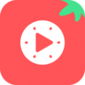 西红柿短剧APP v2.0.5