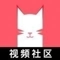 猫咪app视频2024最新版v1.1.6