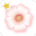 小花花阅读器软件 v6.6.6
