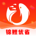 锦鲤优省软件 v2.5.4