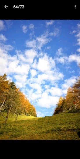 nikon image space app下载