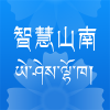 智慧山南app v1.0