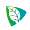 云茶直播v1.3.7