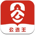 公选王遴选网