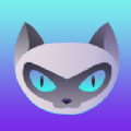 夜猫体育官方版