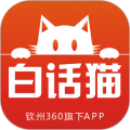 钦州白话猫最新版
