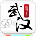掌上武汉手机版ap