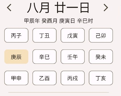 玄通八字排盘软件