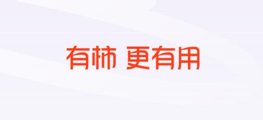 今日头条搜索app最新版(改名有柿)