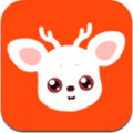 
                小鹿钢琴陪练
            