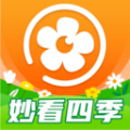 
                妙看四季
            