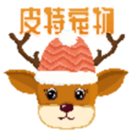 
                皮特宠物
            