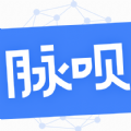 脉呗安卓版