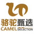 
                骆驼甄选
            