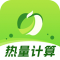 
                热量计数器
            