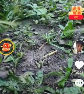 欢乐真宝短视频app最新版