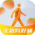 
                走路有好柿
            