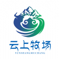 
                云上牧场
            