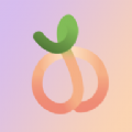 
                桃花元
            
