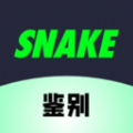 
                SNAKE鉴别
            