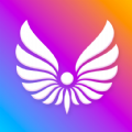 
                齐具小精灵
            