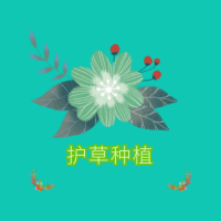 
                花草种植
            