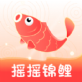 
                摇摇锦鲤
            