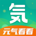 
                元气看看
            