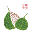 
                华膜商城
            