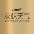 
                灰鲸天气
            