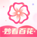
                妙看百花
            