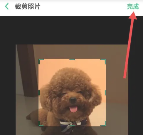 面具CP视频聊天软件最新版本