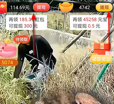 鱼丸短视频赚钱软件