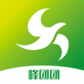 
                峰团团
            