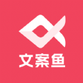 
                AI文案鱼
            