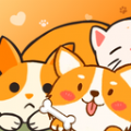 
                猫狗语音翻译机
            