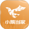
                小鹅当家
            
