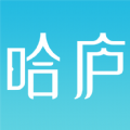 
                哈庐
            