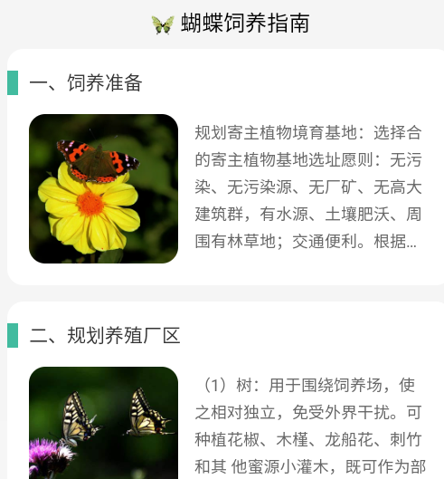 蝴蝶乐刷安卓版
