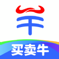 
                买卖牛
            