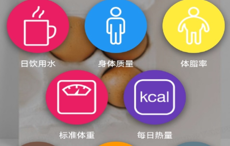 凯芸瑜伽官方版