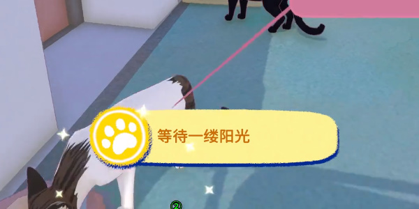 小猫咪大城市等待一缕阳光成就怎么过 等待一缕阳光成就通关一览