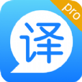 
                英汉双译
            