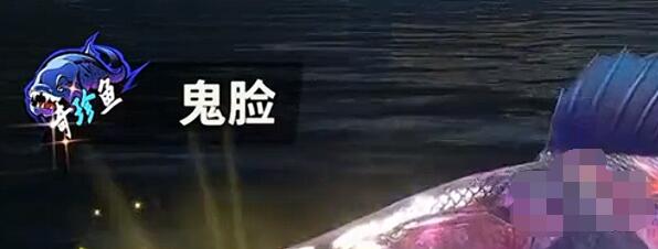欢乐钓鱼大师稀有鱼有哪些 最新稀有鱼排行榜一览