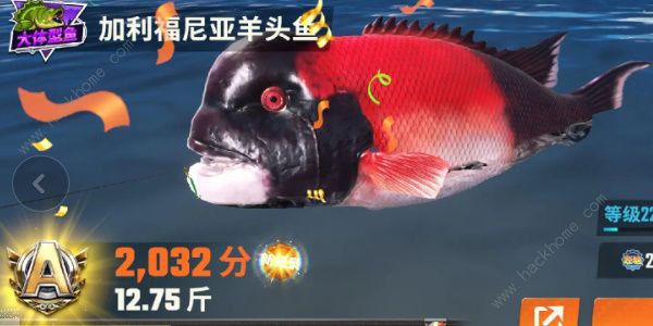 欢乐钓鱼大师鱼类图鉴大全 所有鱼类种类外观一览